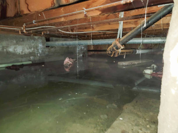 Best Water damage restoration insurance claims  in Potosi, TX