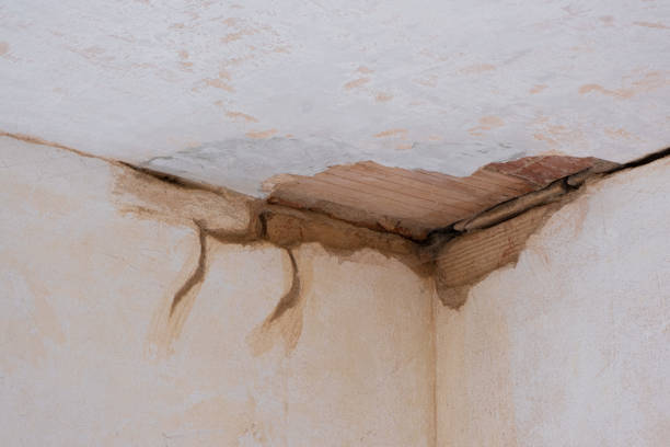 Best Local water damage restoration  in Potosi, TX