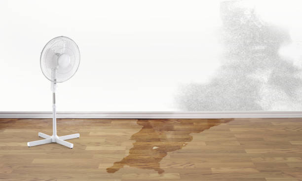 Best Fire Damage Restoration  in Potosi, TX