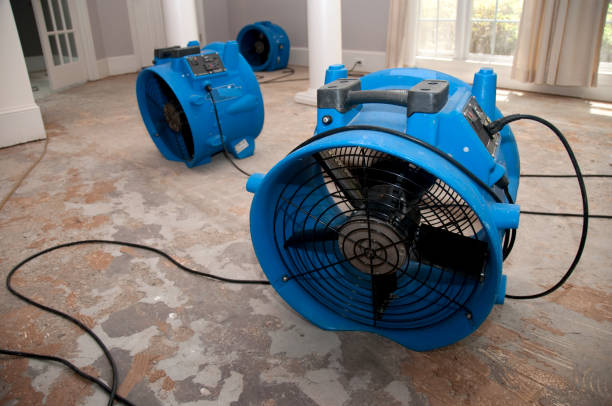 Best Carpet water damage restoration  in Potosi, TX