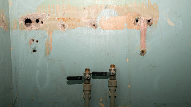 Best Flood restoration services  in Potosi, TX