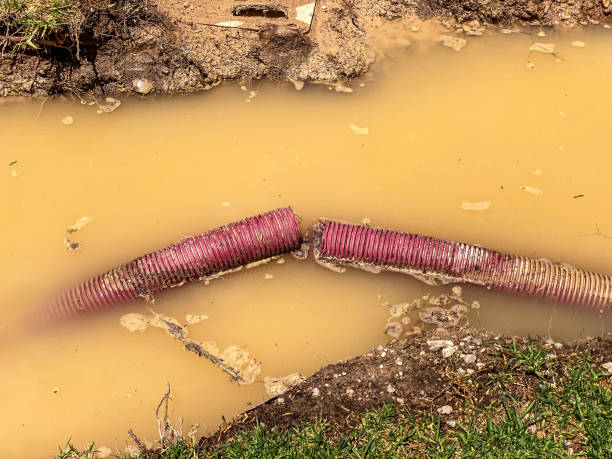 Best Carpet water damage restoration  in Potosi, TX